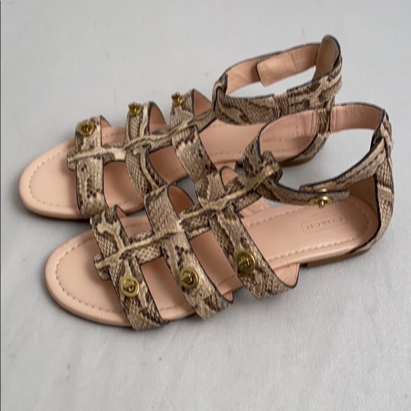 Coach Oleta tan brown python snake gladiator sandals 9 - Picture 4 of 8